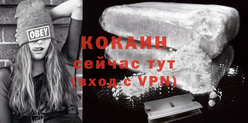 закладки  Заречный  гидра tor  Cocaine 99% 